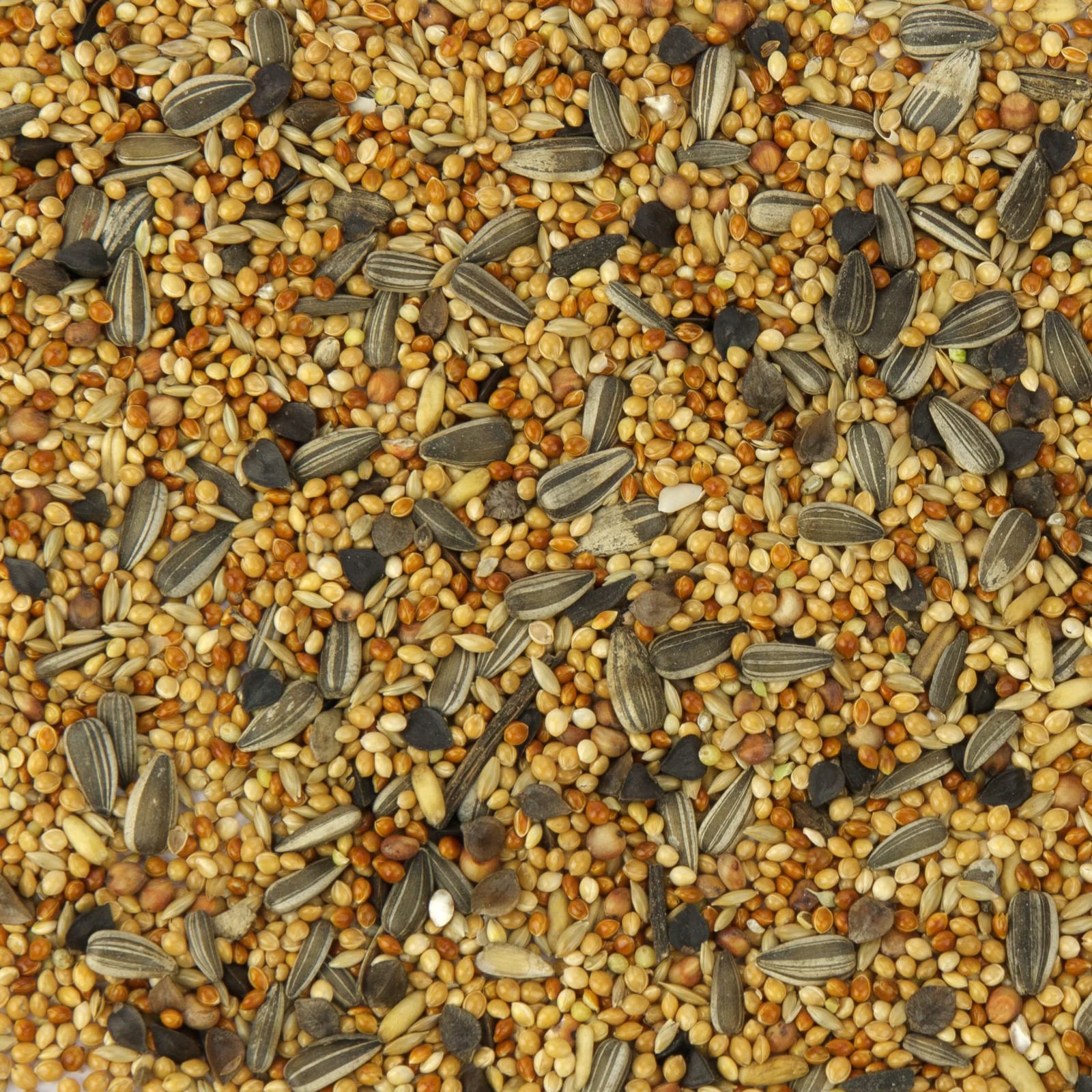 Mr. Crumble Großsittich-Basic Vogelfutter 2,5kg Hirse