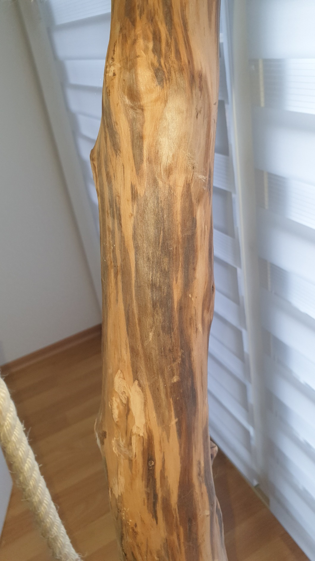 Dehner Premium Lovely Nero Kratzbaum braun-weiß 109 cm Hartholz