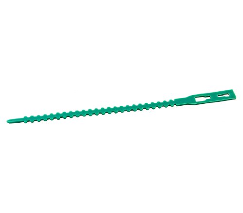 Dehner Pflanzenbinder grün 25 Stück 22,5 cm wiederverwendbar