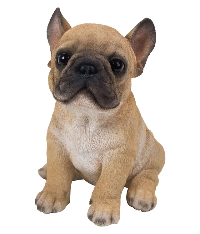 Dehner Premium Lovely Bulldogge Welpe Dekofigur 18 cm braun