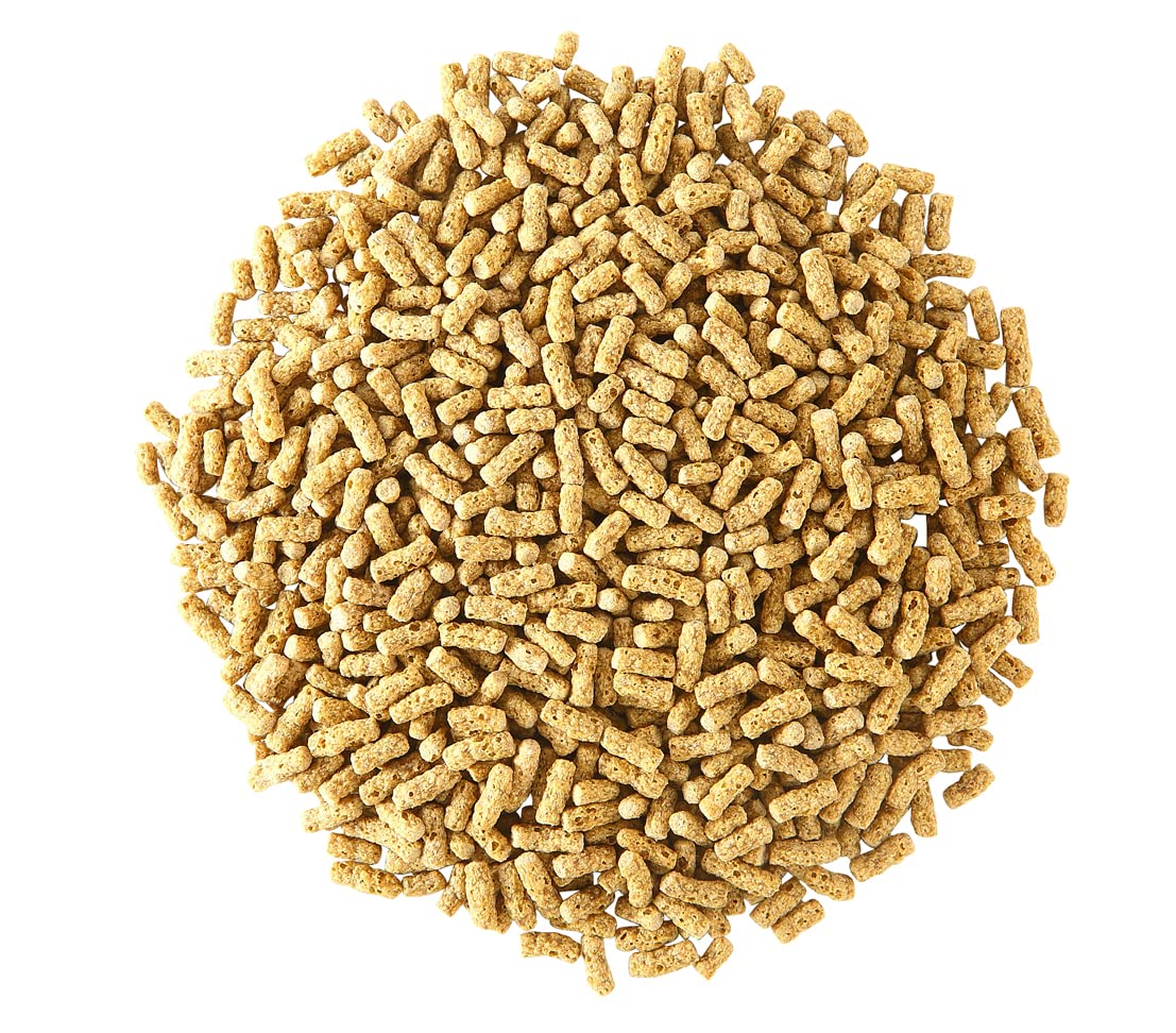 Dehner Aqua Teichfischfutter Sticks 5 l schwimmfähig
