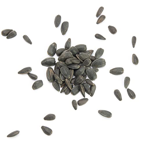 Mr. Crumble Schwarze Sonnenblumenkerne Vogelfutter 2,5 kg