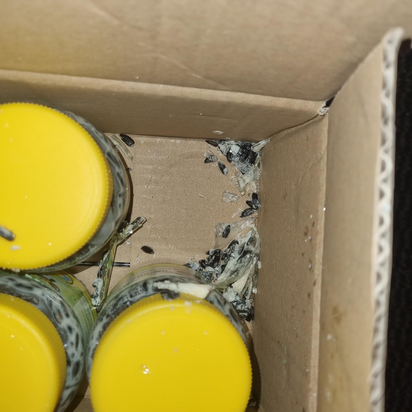 Dehner Natura Wildvogelfutter Rindertalg 8x250g zuckerfrei