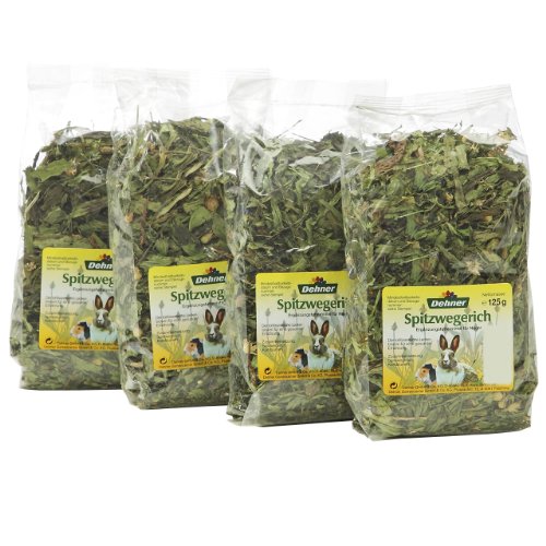 Dehner Premium Lovely Spitzwegerich Nagerfutter Raufutter 1 kg