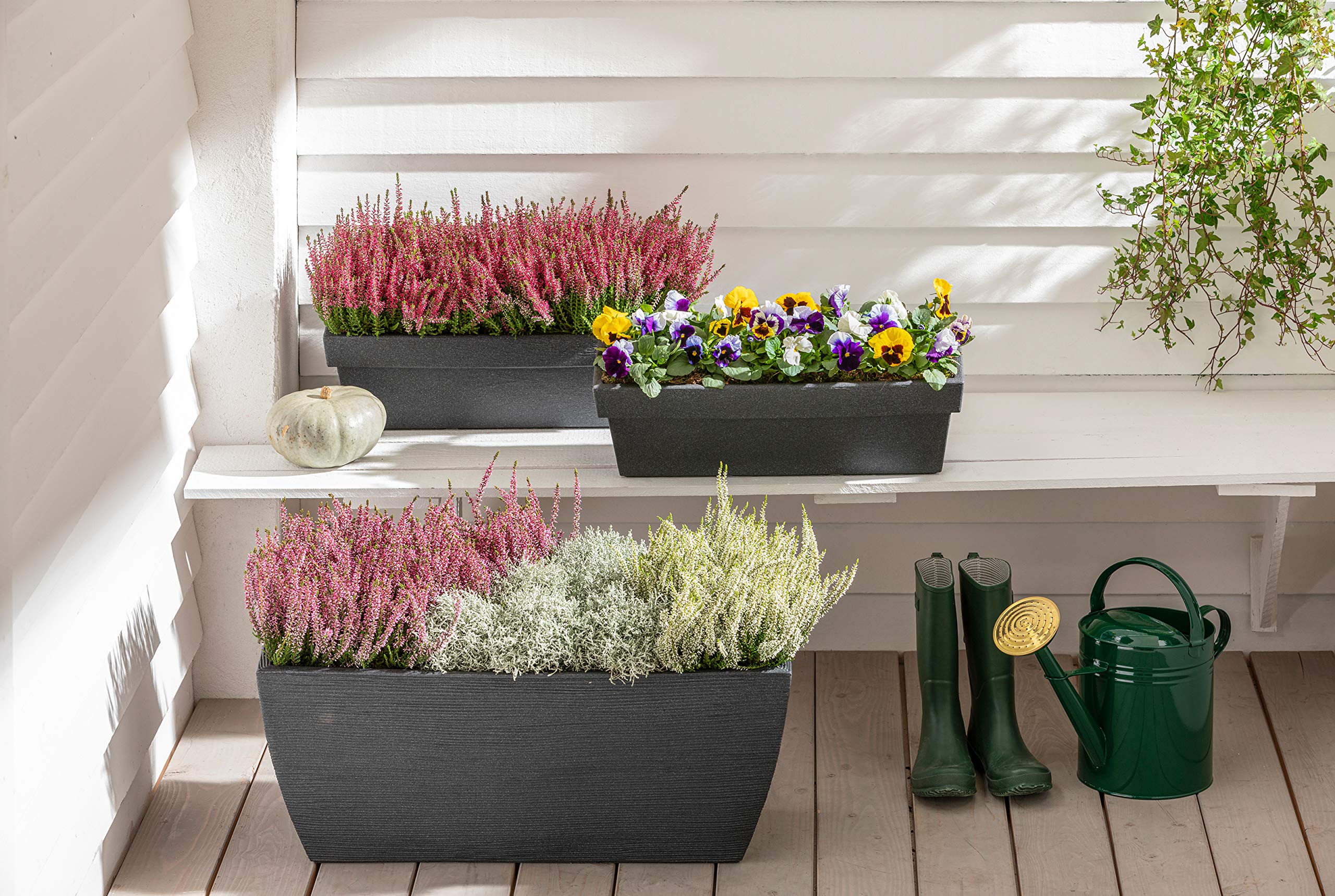 Dehner Rille Blumenkasten Kunststoff 80x40x34 cm anthrazit