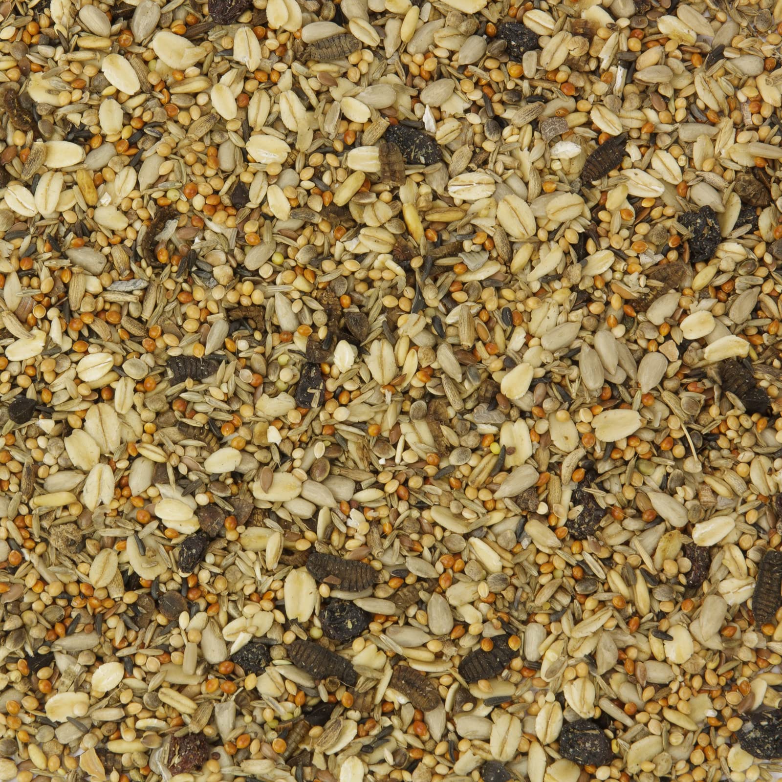 Mr. Crumble Küken-Picknick Vogelfutter Insekten 2,5kg Brutzeit