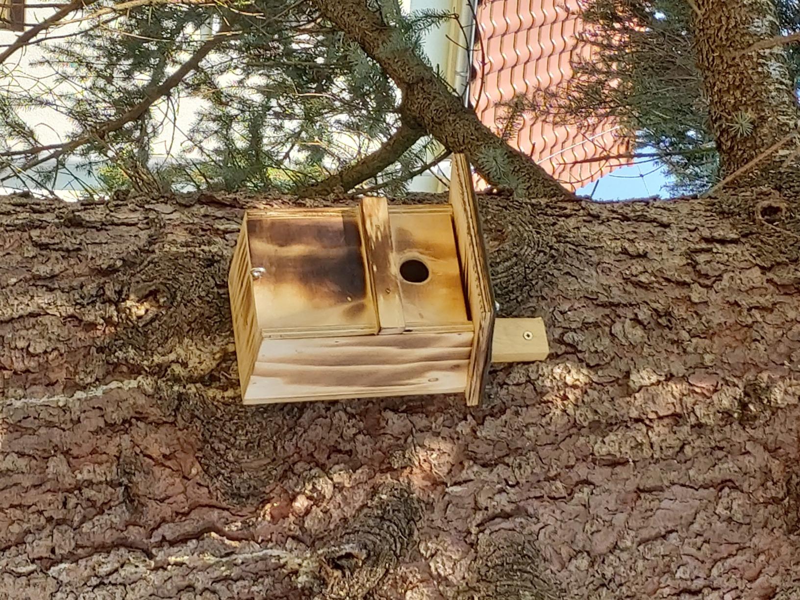 Dehner Natura Nistkasten Holz 28mm braun Meisenkasten