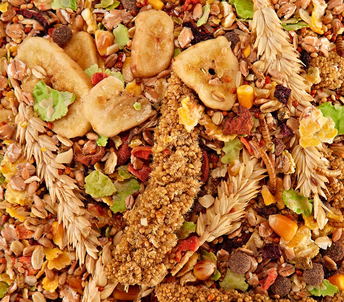 Dehner Best Nature Rennmausfutter 3x500g natürlich ohne Zusätze