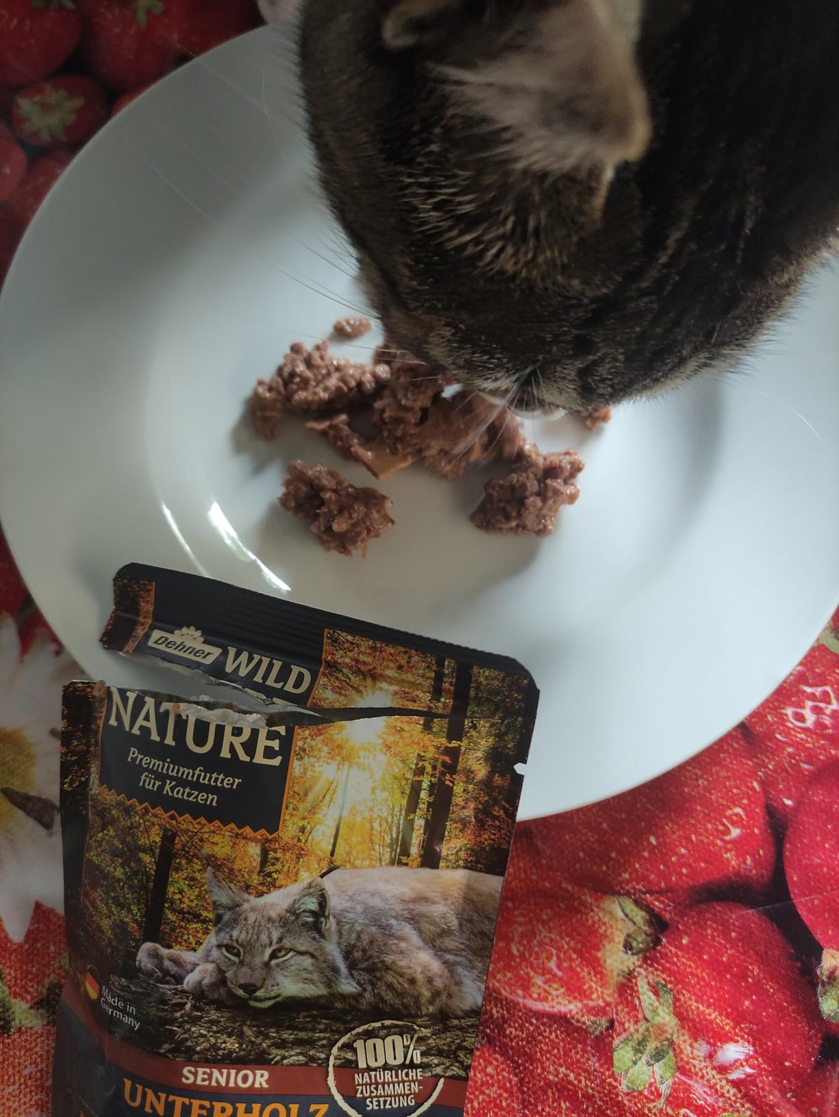 Dehner Wild Nature Unterholz Nassfutter Wildschwein 16x85g senior