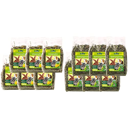 Dehner Nagersnack Löwenzahn Spitzwegerich Set 12x getrocknet