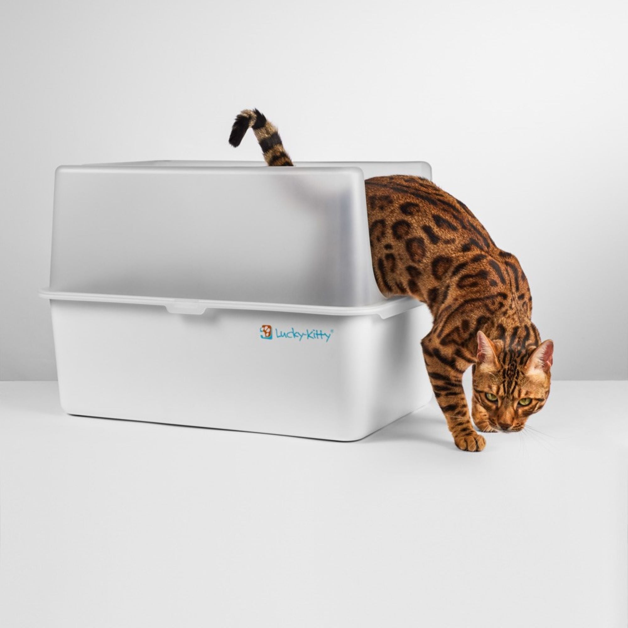 Lucky-Kitty Katzentoilette XXL Edelstahl mattiert 50L Antihaft