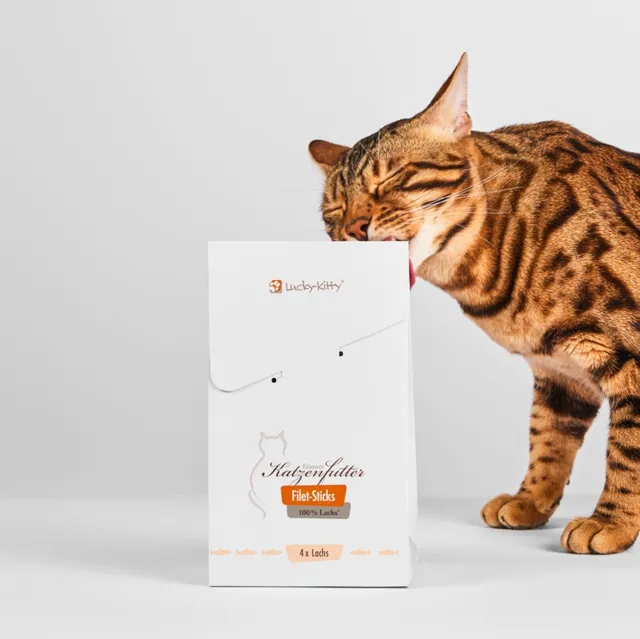 Lucky-Kitty Filet-Sticks Lachs Snack 4 Stück 98,5% Fleisch