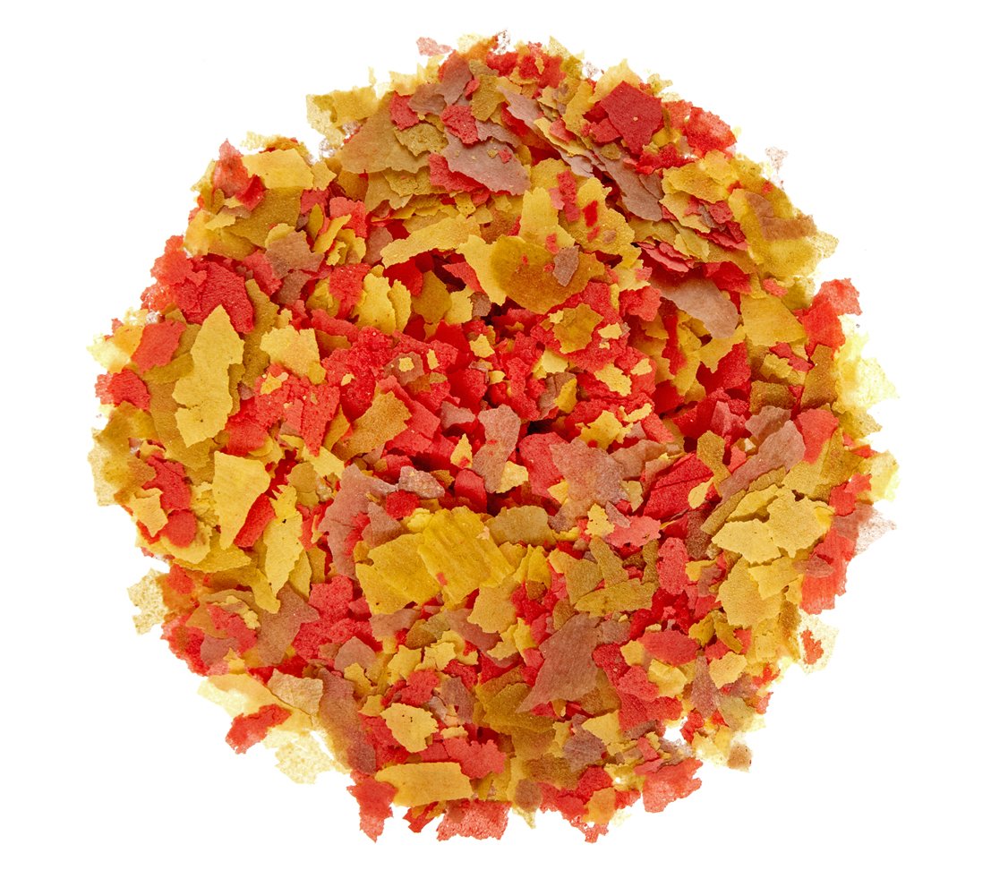 Dehner Aqua Zierfischfutter Flocken-Mix 170g farbfördernd