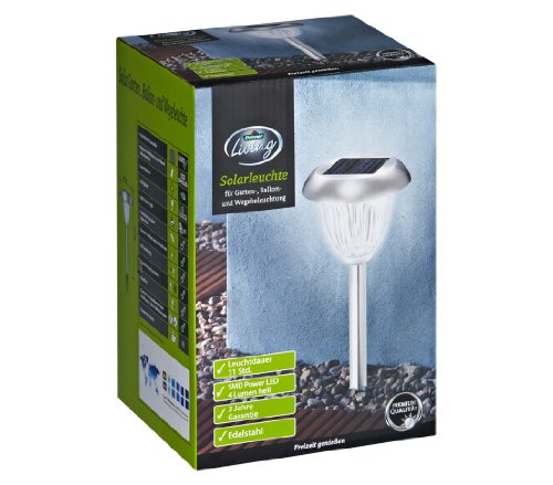 Dehner Living Solarleuchte Edelstahl 40cm Kristallschliff