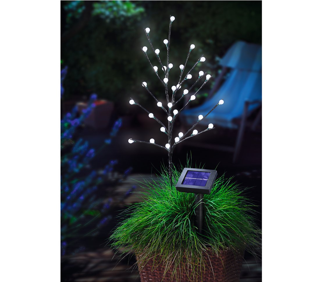 Dehner Living Solar Leuchtbälle Blütenstrauch 36 LED 60 cm