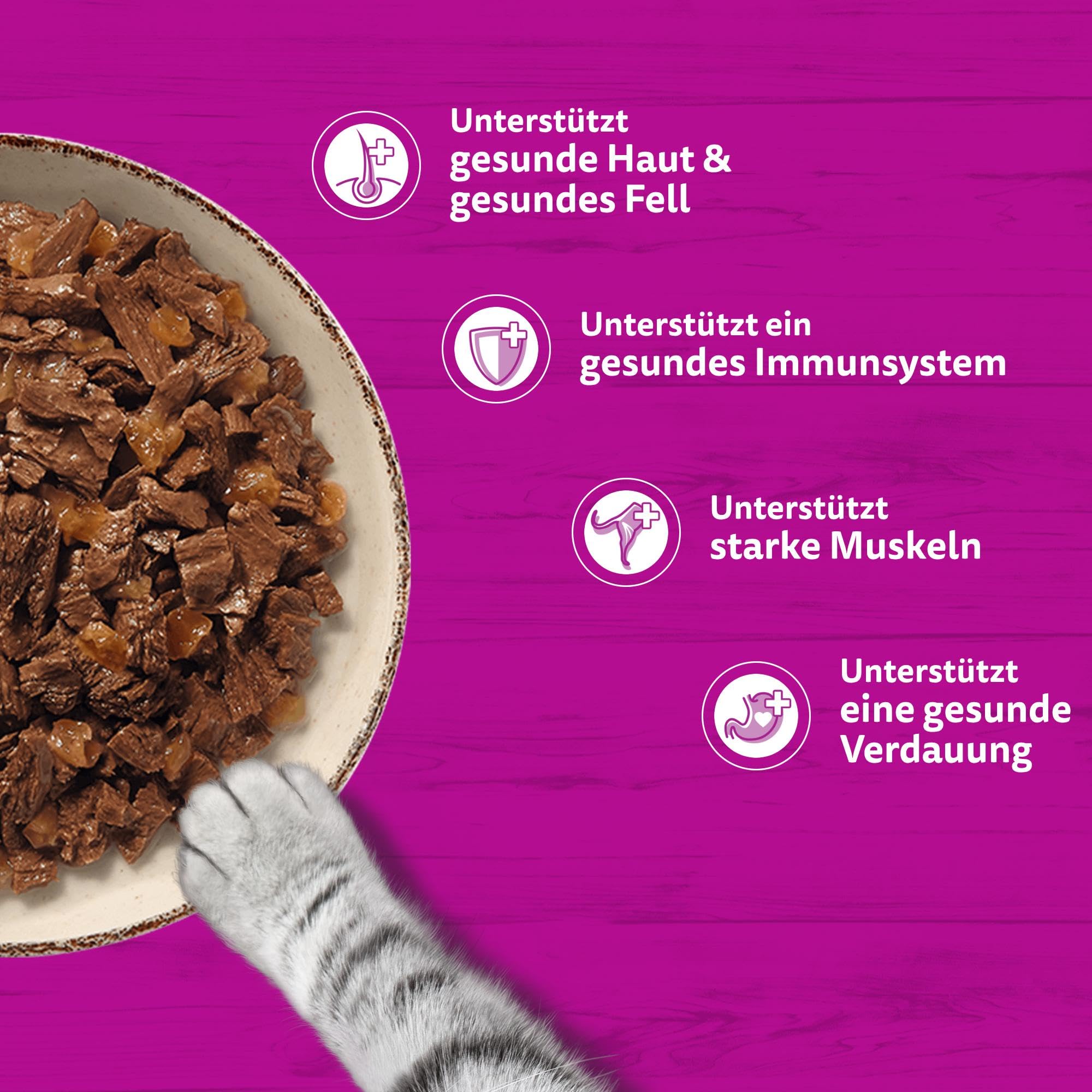 Whiskas Pure Delight Nassfutter Gelee Klassisches Ragout 12x85g