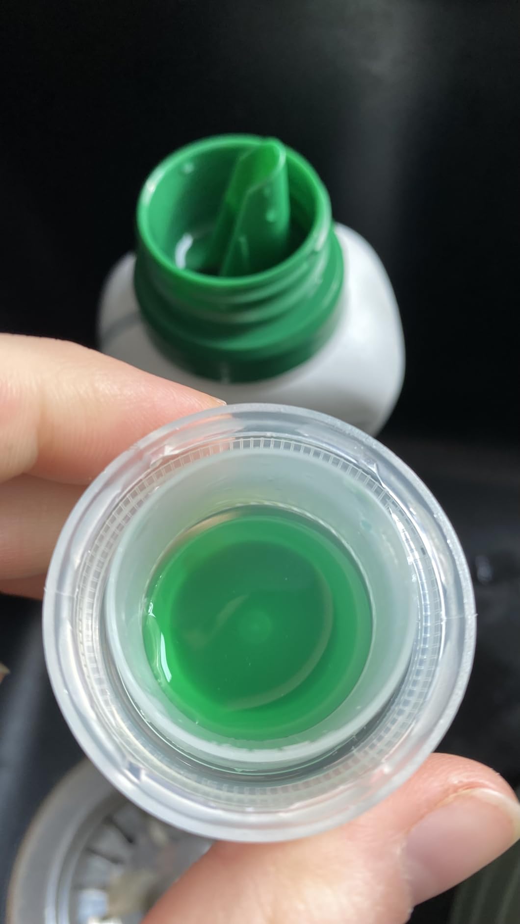 Dehner Grünpflanzendünger flüssig NPK 500 ml