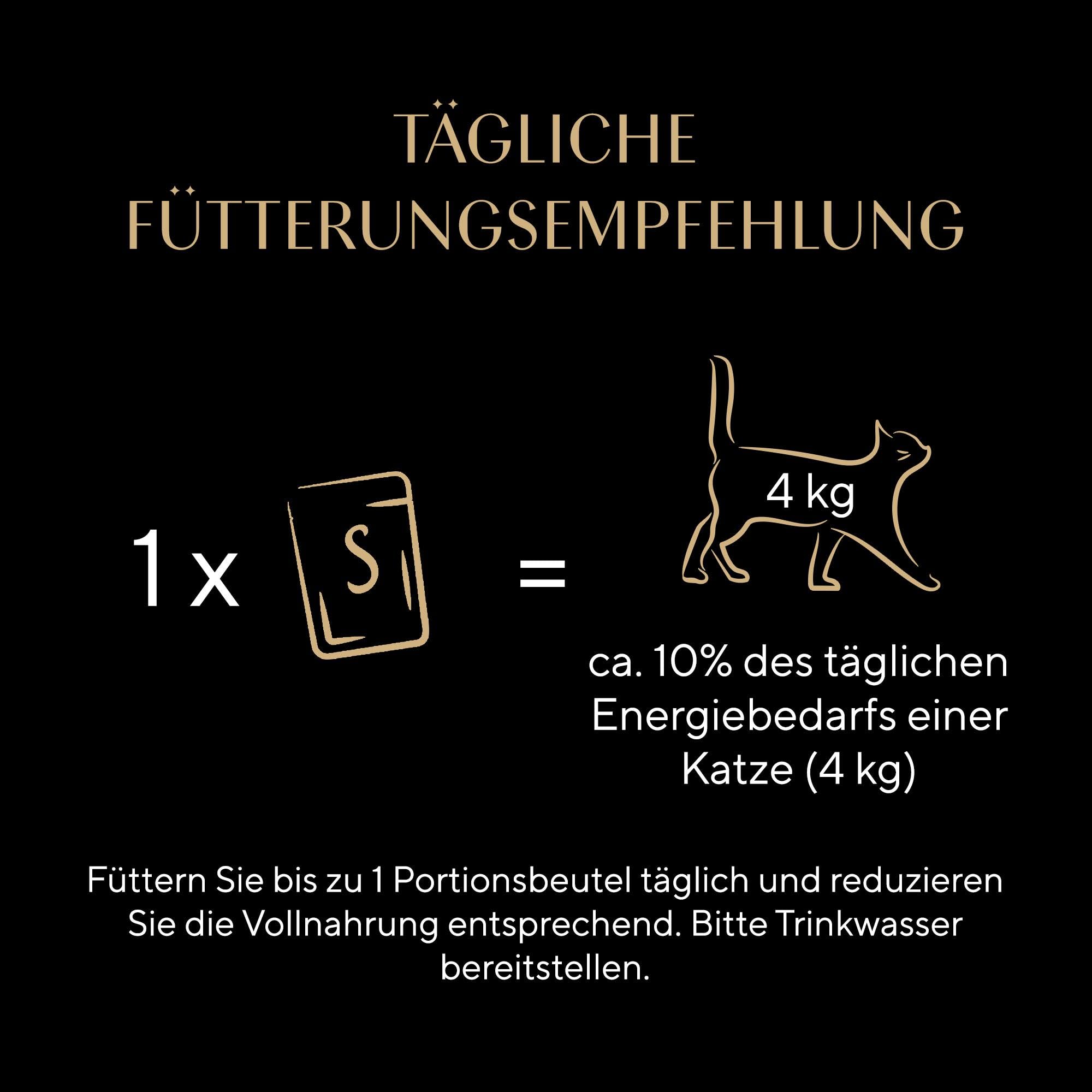 Sheba Soup Lachs Katzensuppe Nassfutter 40x40g samtig