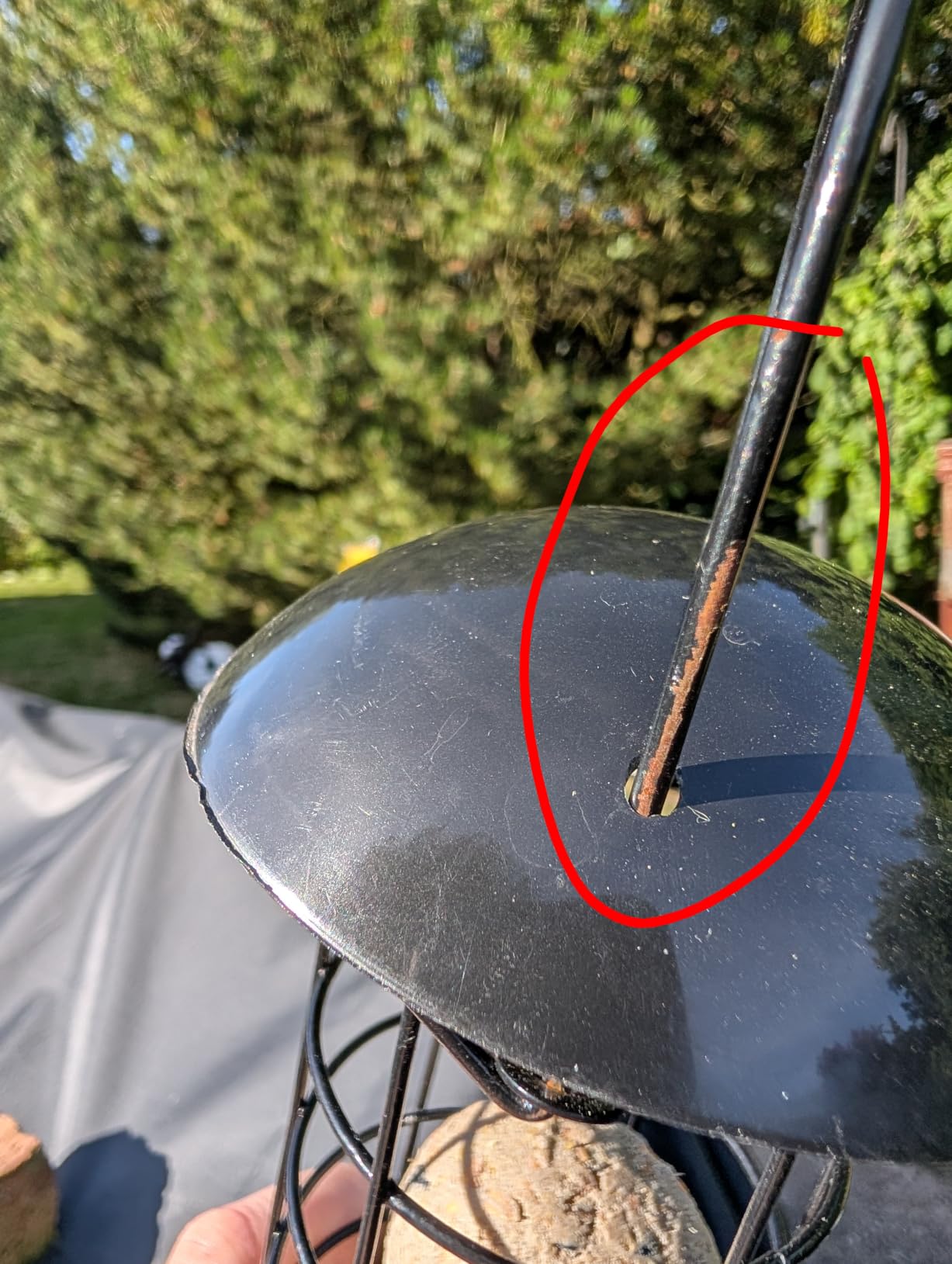 Dehner Natura Premium Wildvogel Futtersäule 4 Knödel fettreich