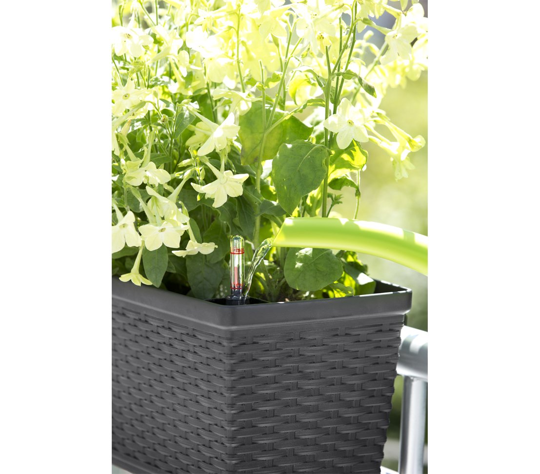Dehner Casa Mesh Blumenkasten 75x20x18cm anthrazit Rattan