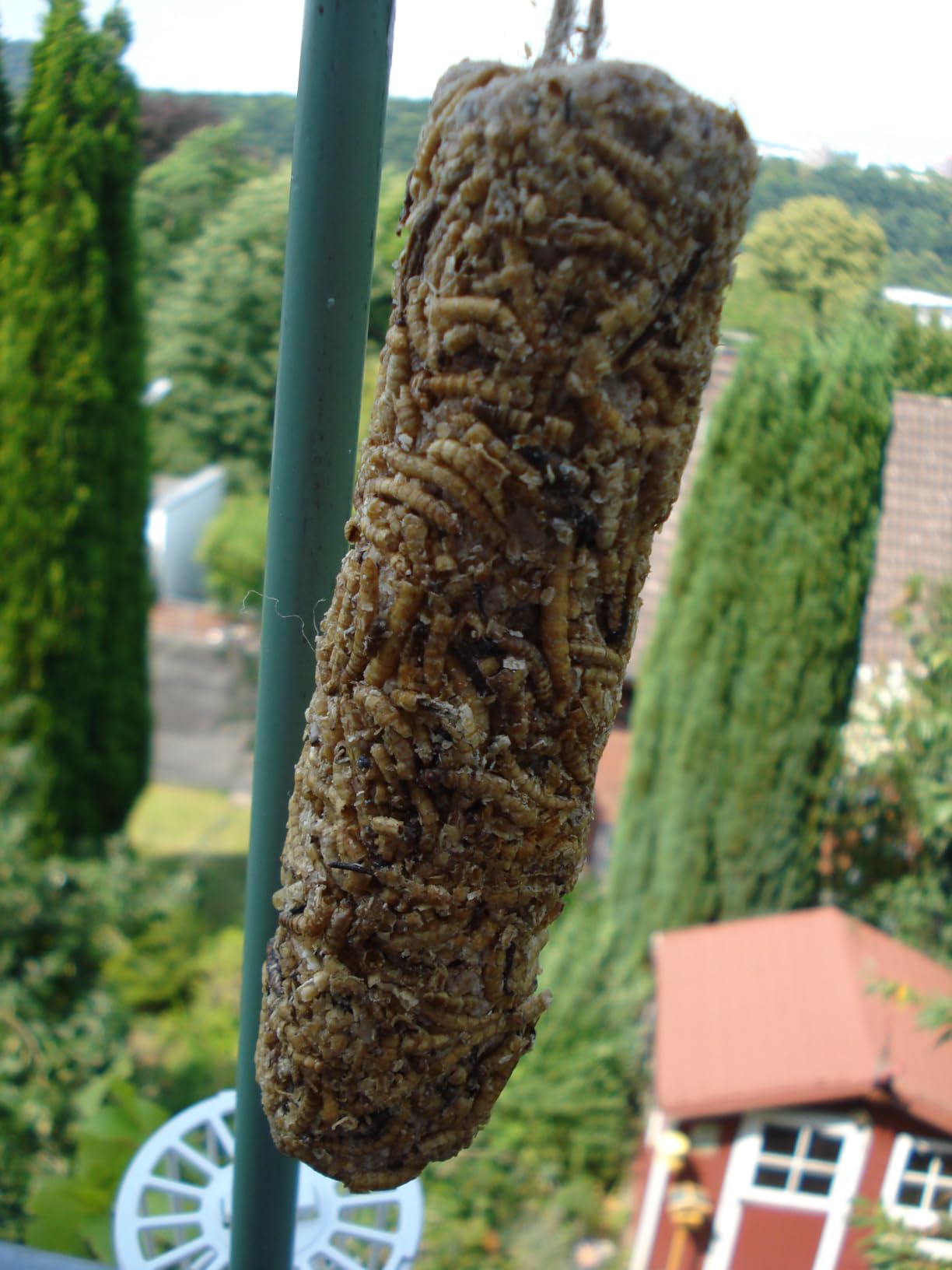 Dehner Natura Wildvogelfutter Fettstangen Erdnuss 800 g
