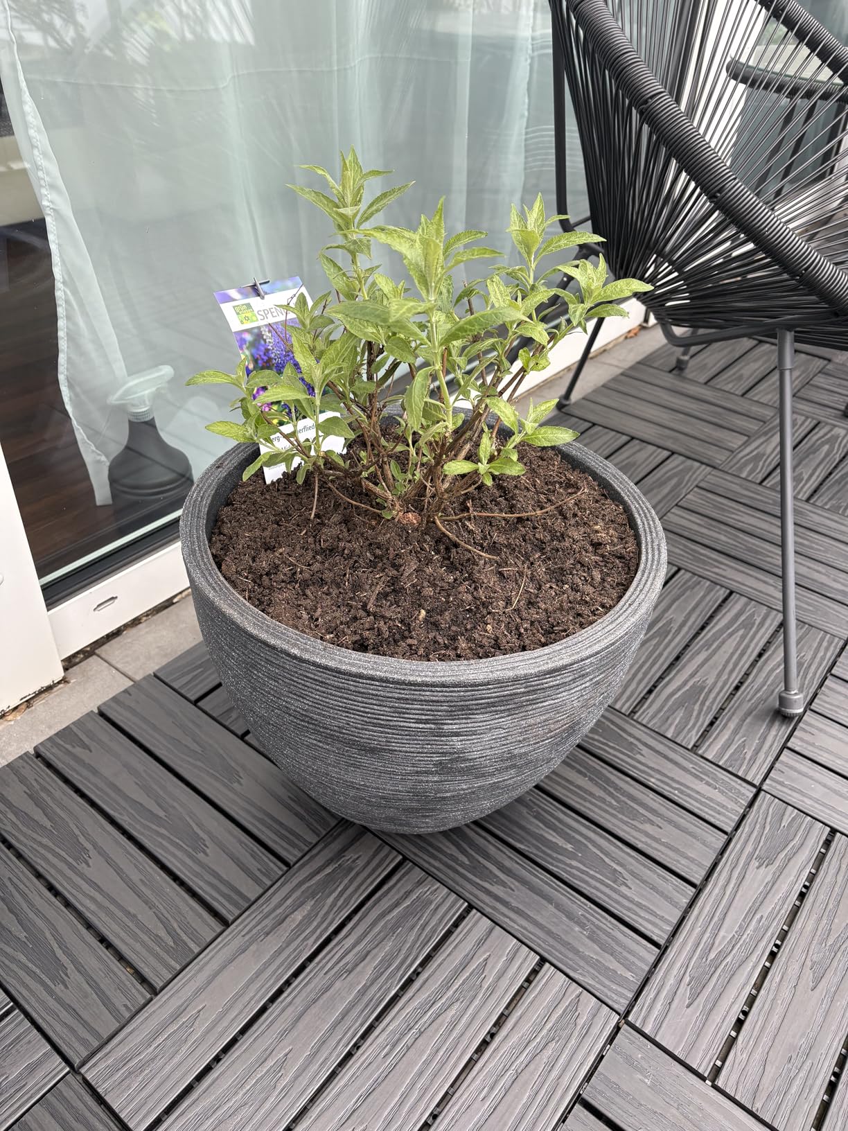 Dehner Vino Pflanzvase Ø40x60 cm anthrazit frostbeständig