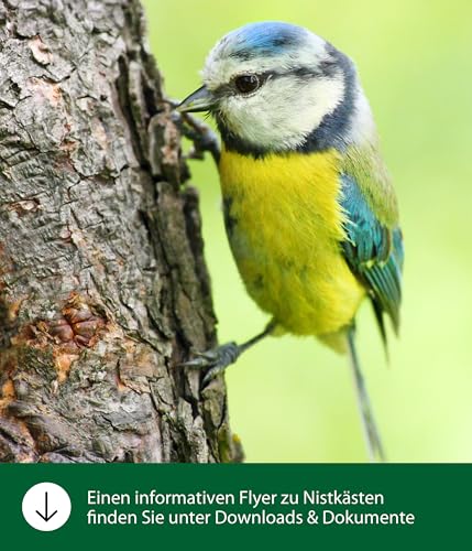 Dehner Natura Freya Nistbeutel Schilf Ø16