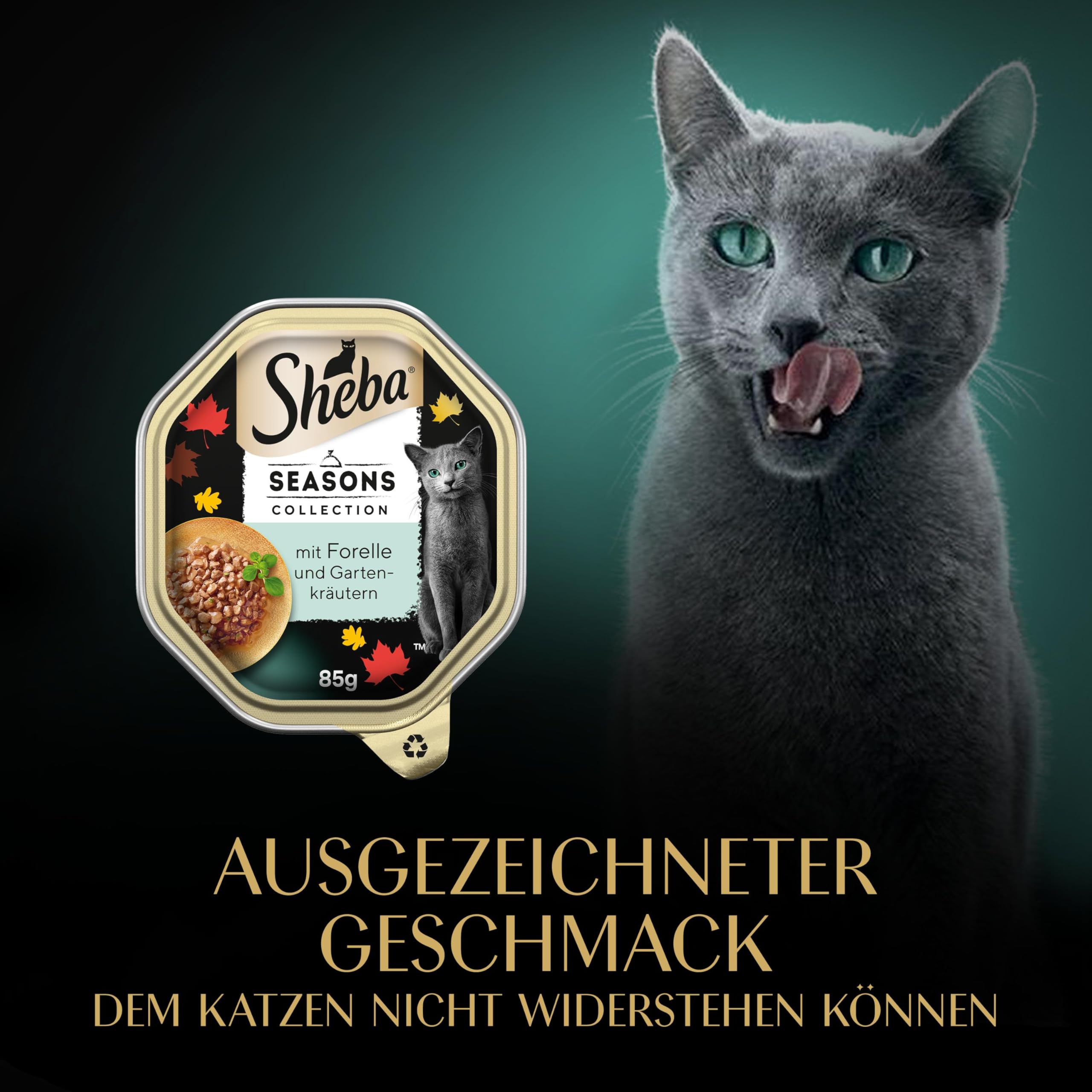 Sheba Seasons Collection Nassfutter Sauce 22x85 g zart