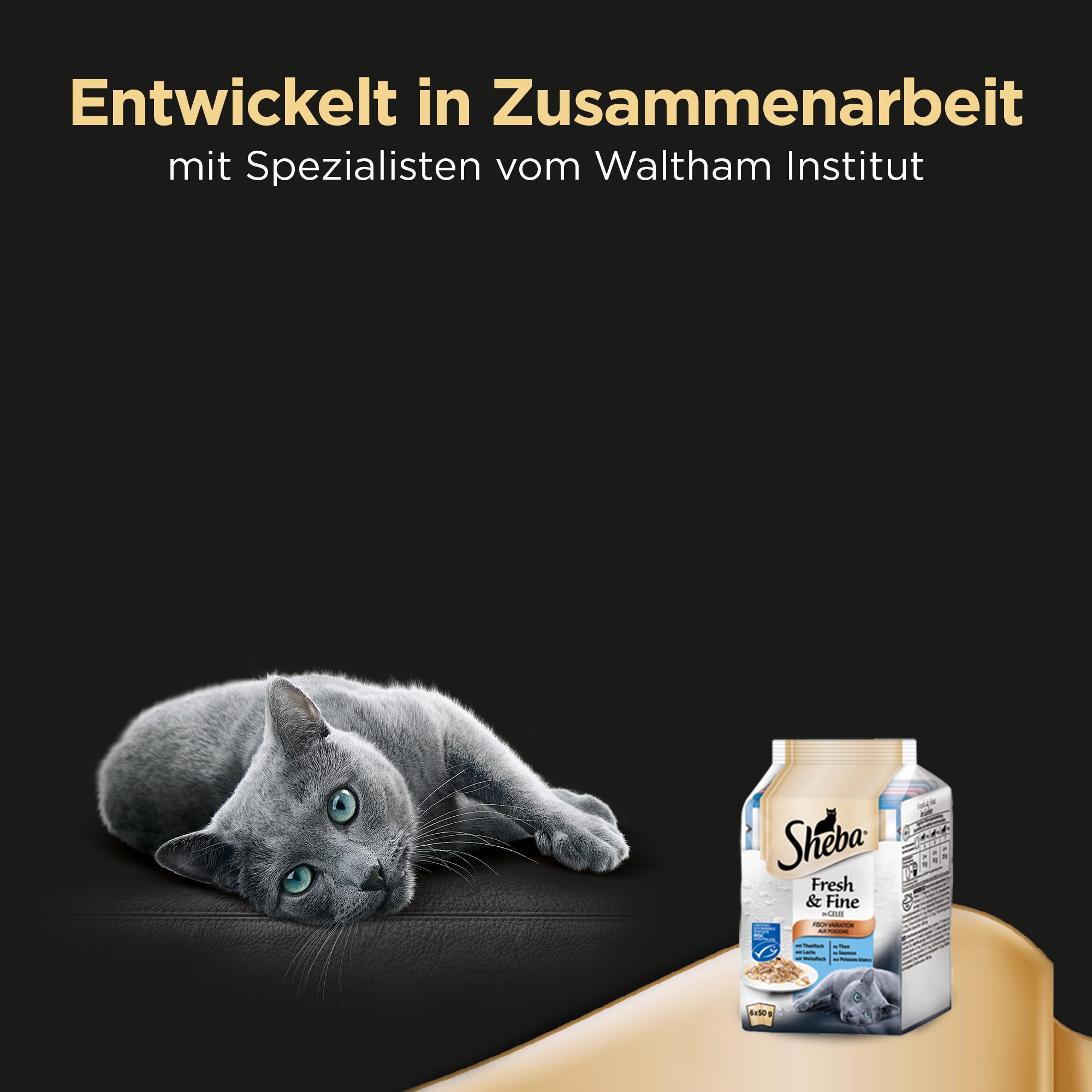 Sheba Fresh & Fine Nassfutter Fisch Variation 72x50 g getreidefrei