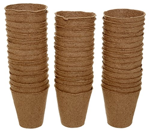 Dehner Anzuchttöpfe Zellulose Ø8cm 48 Stück torffrei