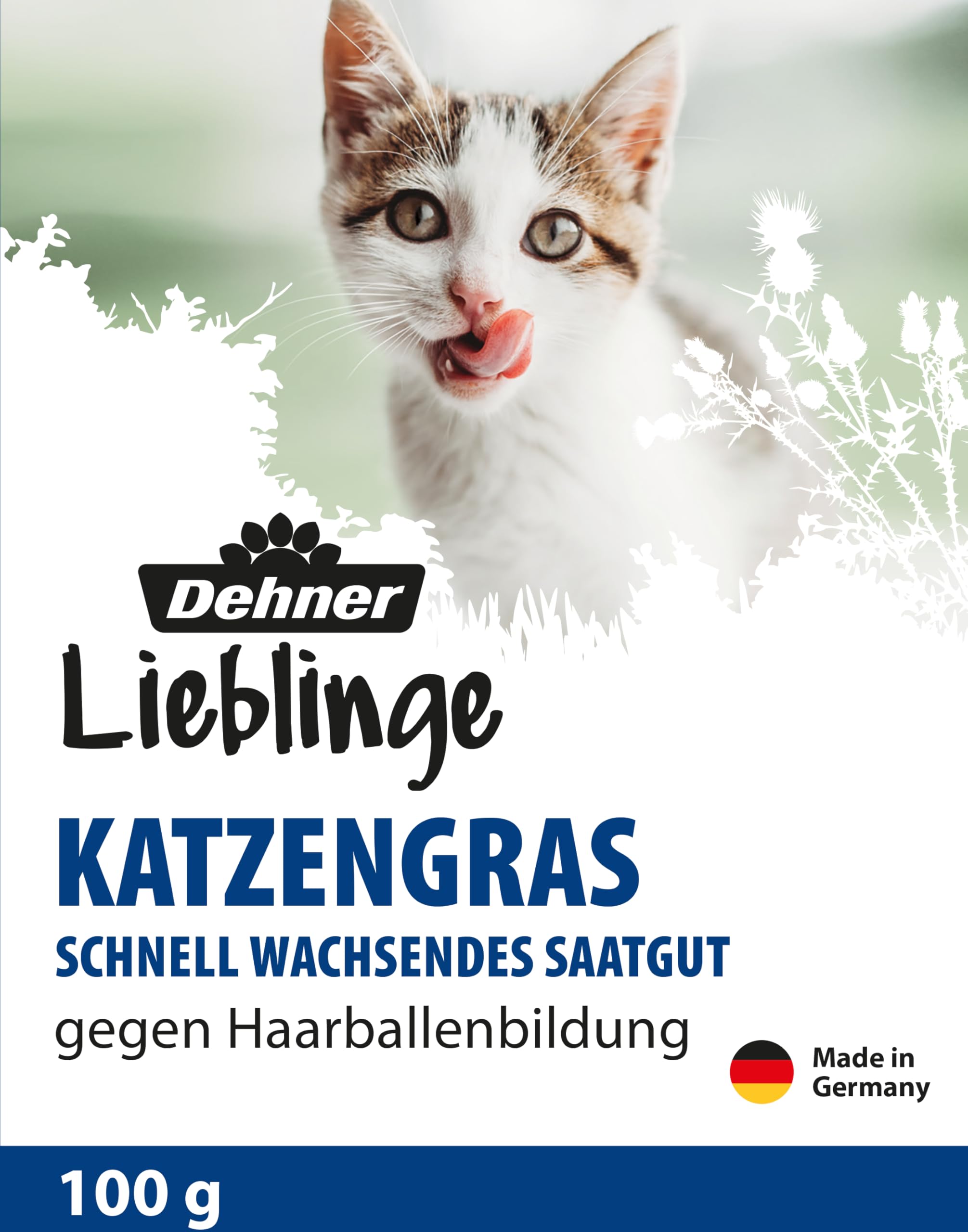 Dehner Lieblinge Katzengras Saatgut 6x100g 600g