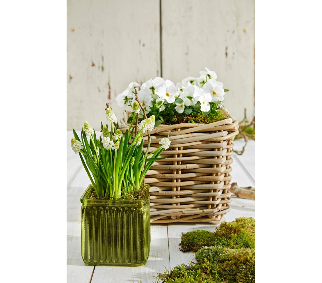 Dehner Premium Lovely Rattan Pflanztopf 27 cm grau-braun
