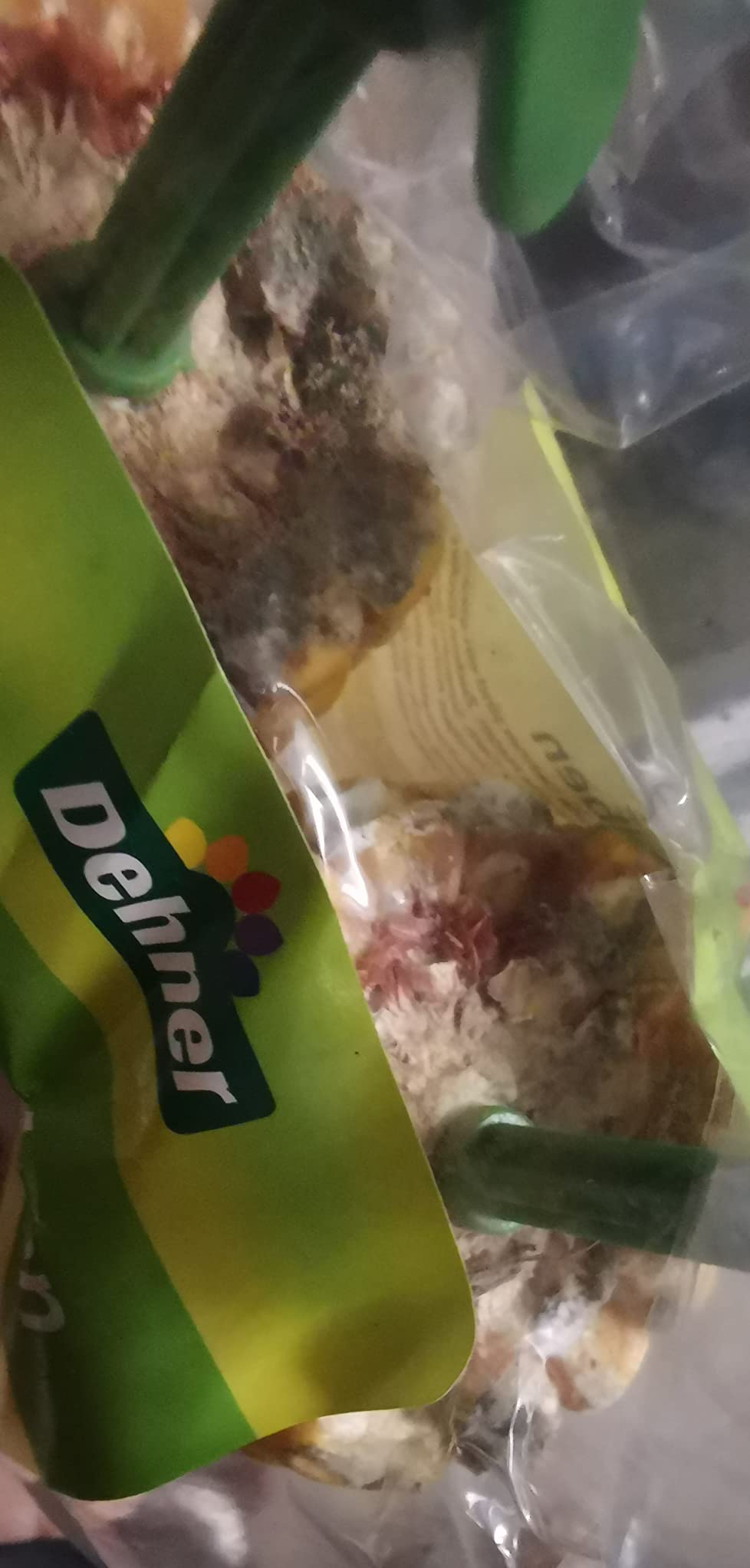 Dehner Lieblinge Maiskolben Nagersnack 7x200g naturbelassen