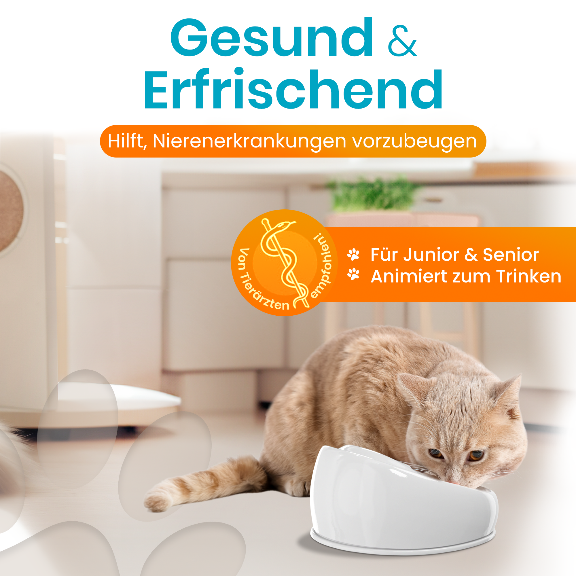 Lucky-Kitty Katzenbrunnen Keramik Pastellblau leise