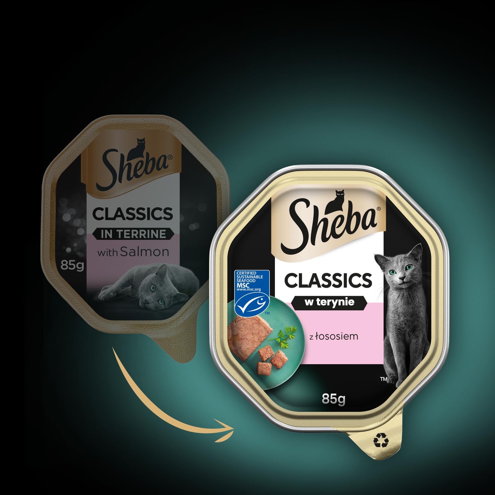 Sheba Classics Pastete Nassfutter Lachs 11x85g