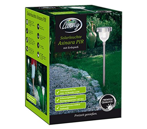 Dehner Asinara Solar-Steckleuchte Sensor silber 77 cm