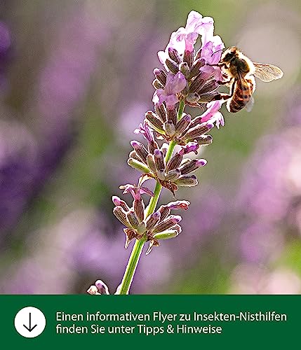 Dehner Natura Premium Faros Insektenhotel natur 23x11x16 cm
