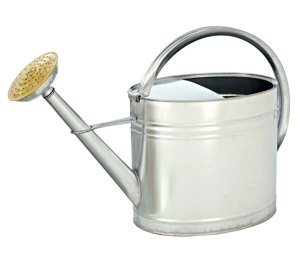 Dehner Gießkanne Zink nostalgisch oval 9 l silber