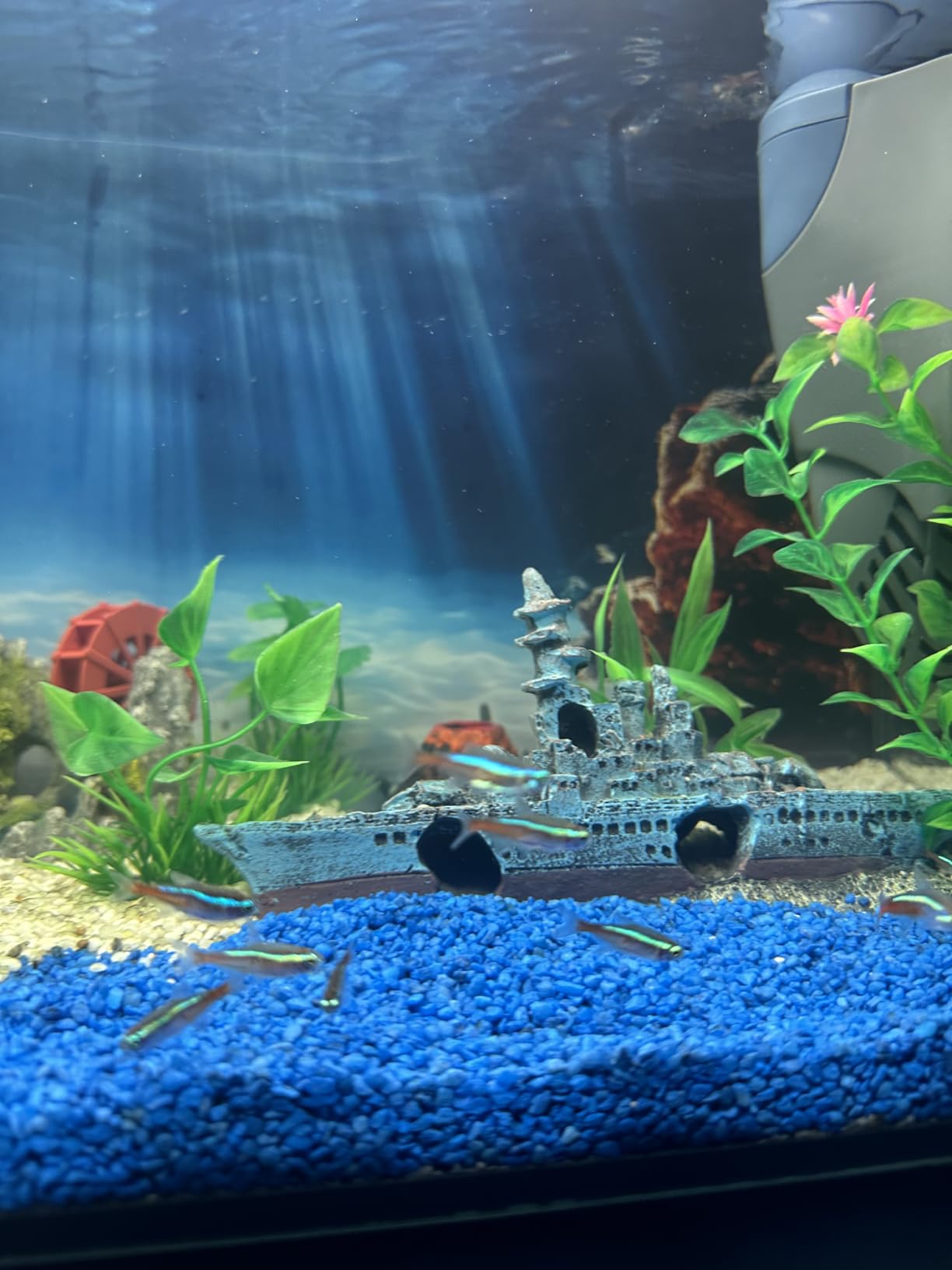 Dehner Aqua Aquarienkies 2-4mm 5kg enzianblau