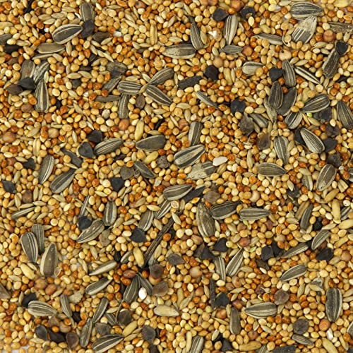 Mr. Crumble Großsittich-Basic Vogelfutter 2,5kg Hirse
