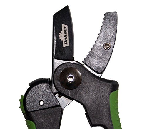 Dehner Amboss Hobby Gartenschere 2cm Stahl