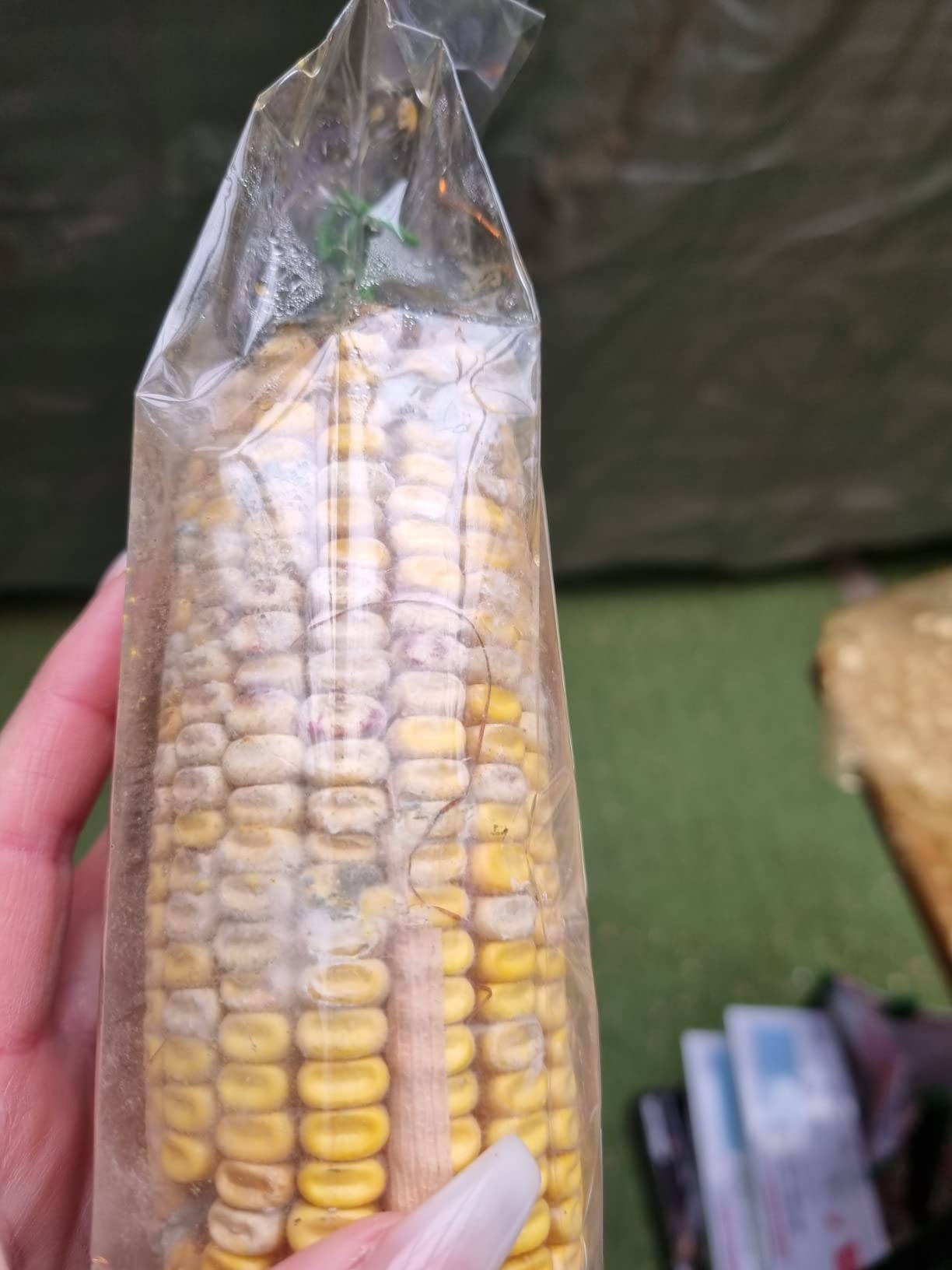 Dehner Lieblinge Maiskolben Nagersnack 7x200g naturbelassen