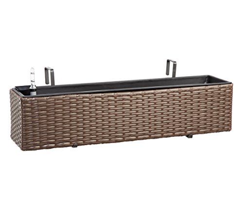 Dehner Premium Lovely Blumenkasten Florenz braun 80 cm