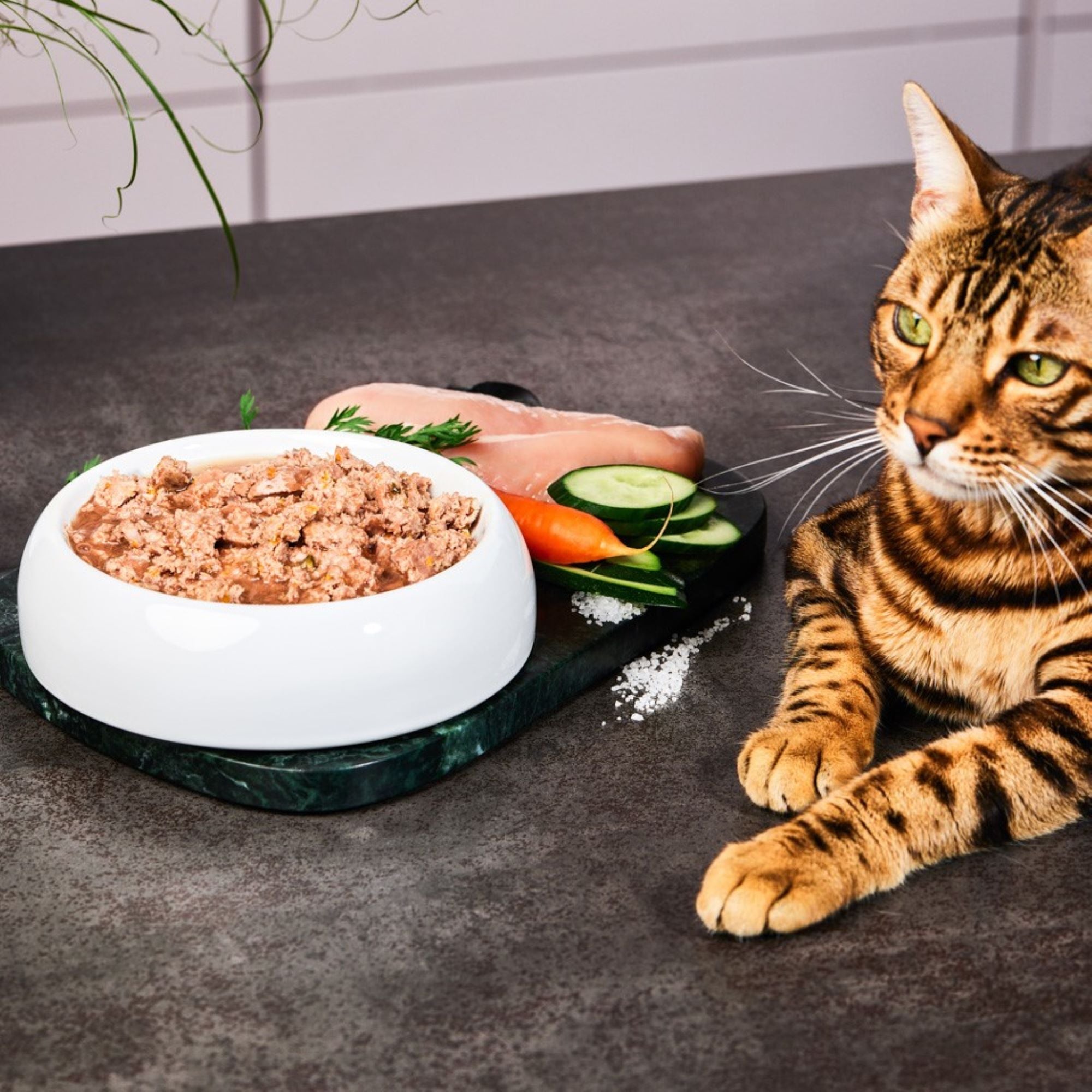 Lucky-Kitty Pute Nassfutter 200g getreidefrei