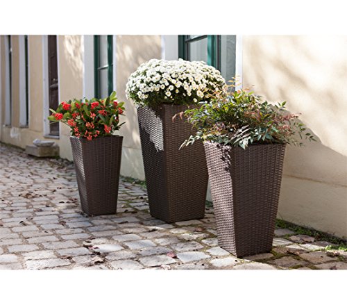 Dehner Alicante Pflanztopf 55x30x30 cm Polyrattan braun