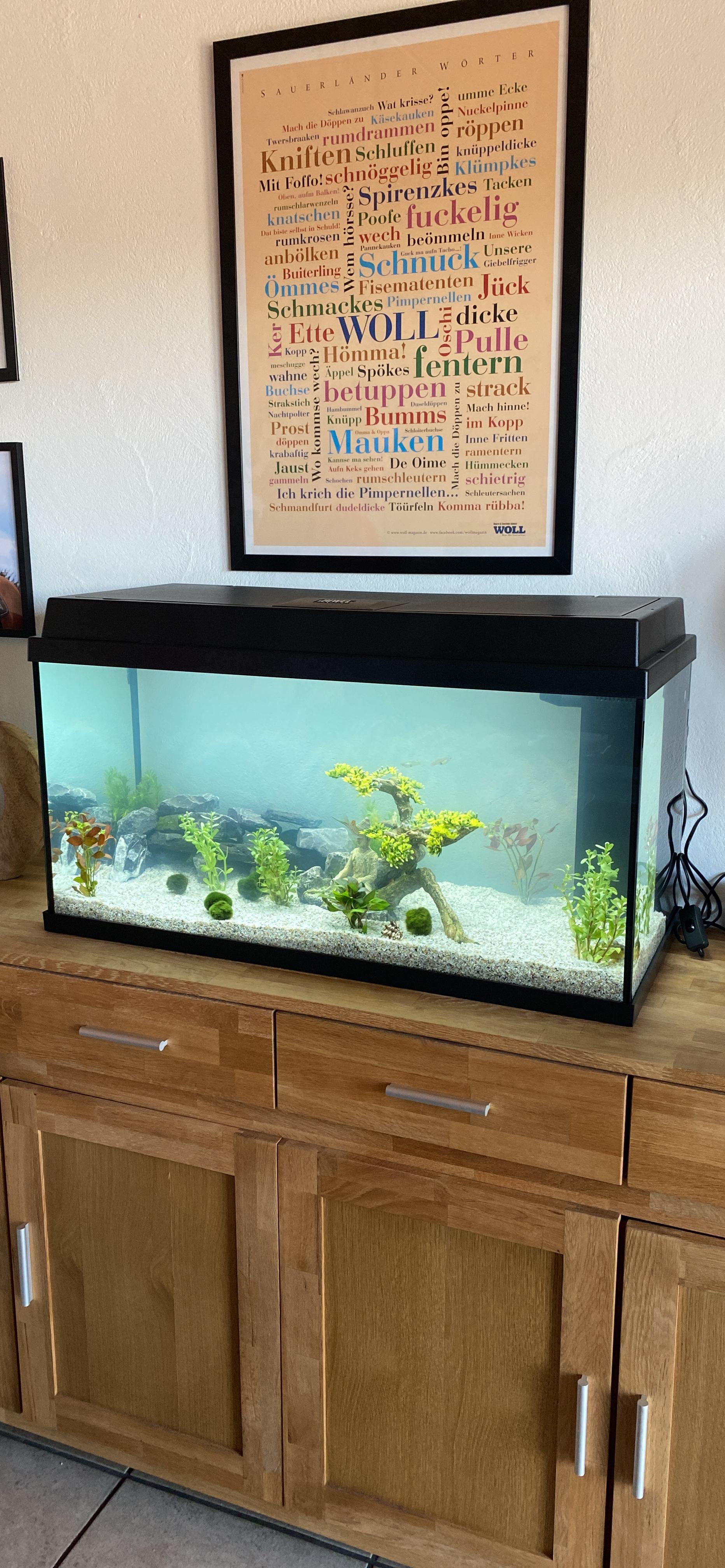 Dehner Aqua Start 80 Aquarium Starterset 110 L LED Komplett
