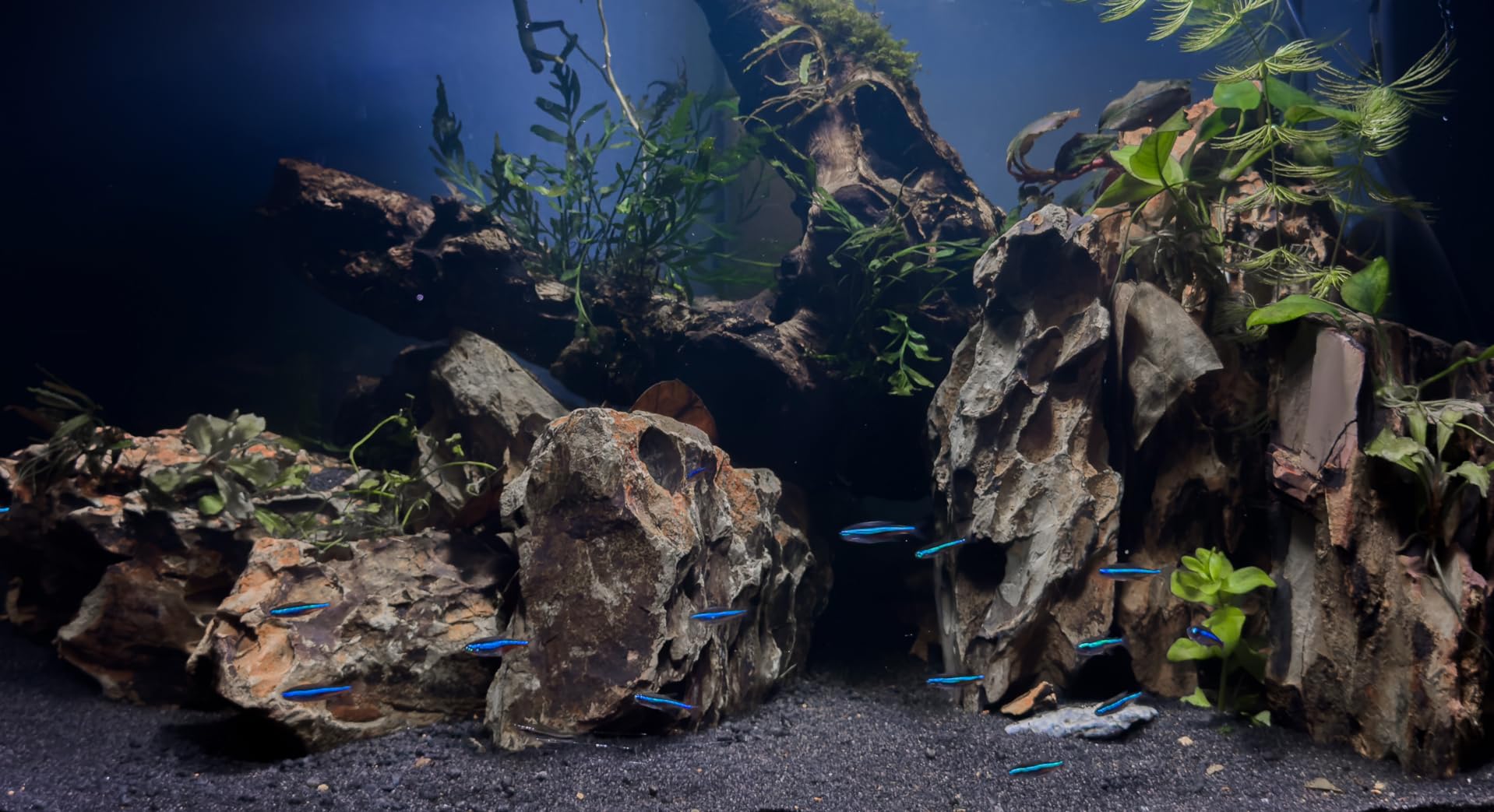 Dehner Aqua Aquarienkies 2-4 mm 5 kg rot abgerundet