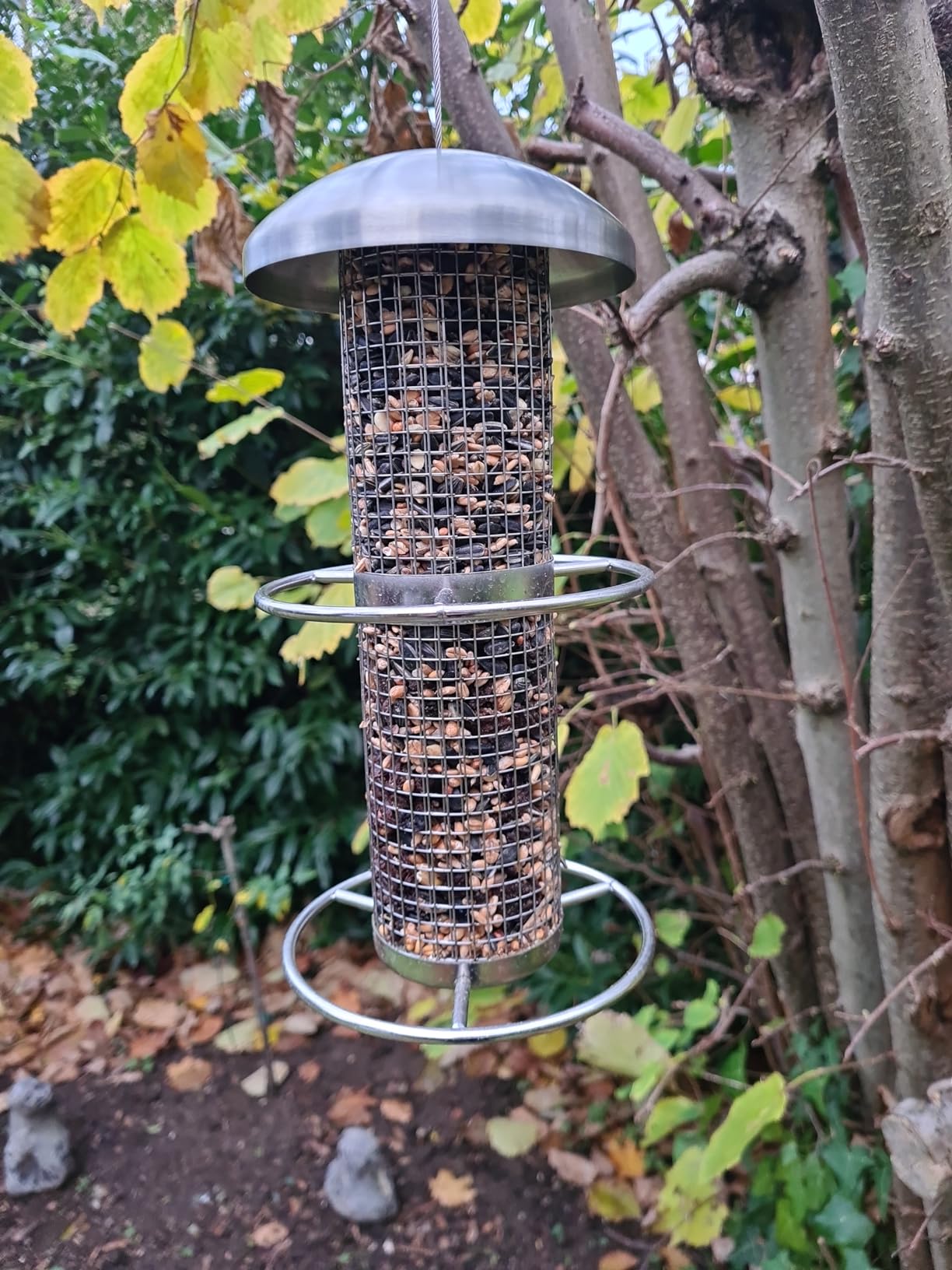 Dehner Natura Wildvogelfutter Streufutter 3kg Ganzjahr