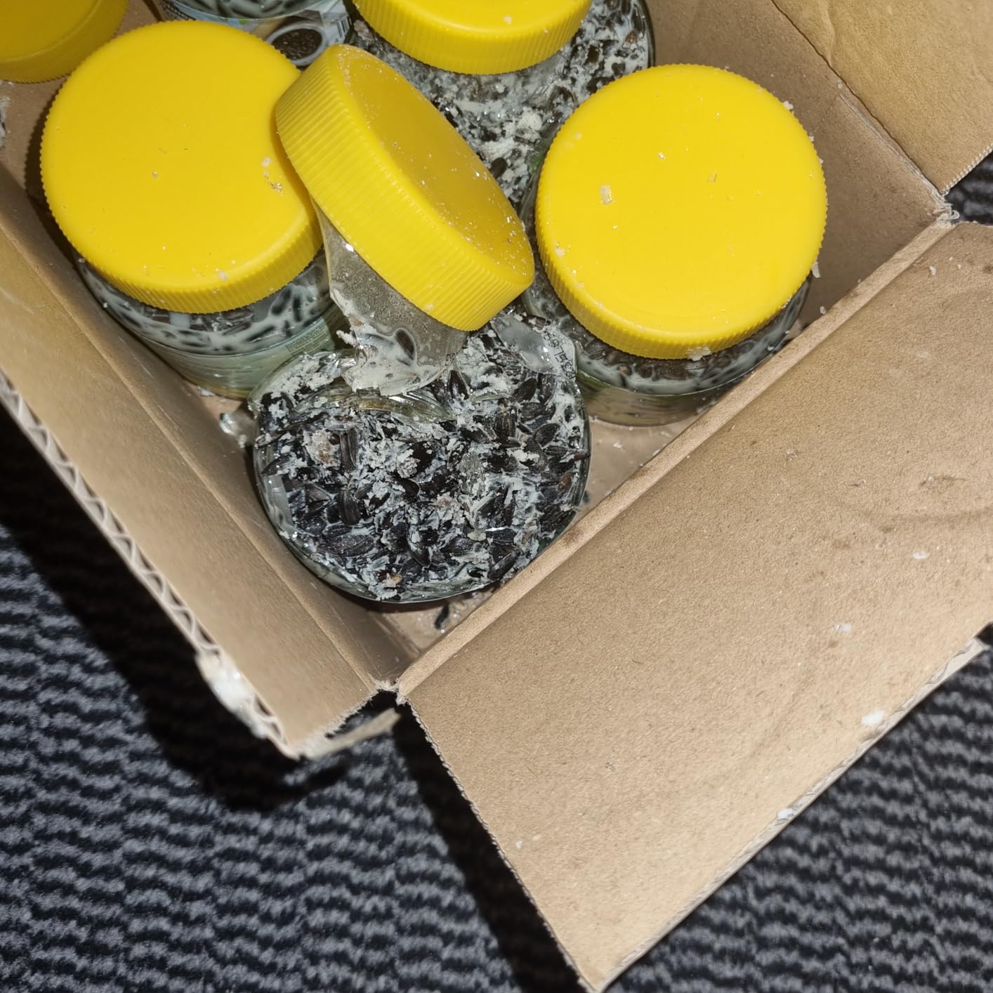 Dehner Natura Wildvogelfutter Rindertalg 8x250g zuckerfrei