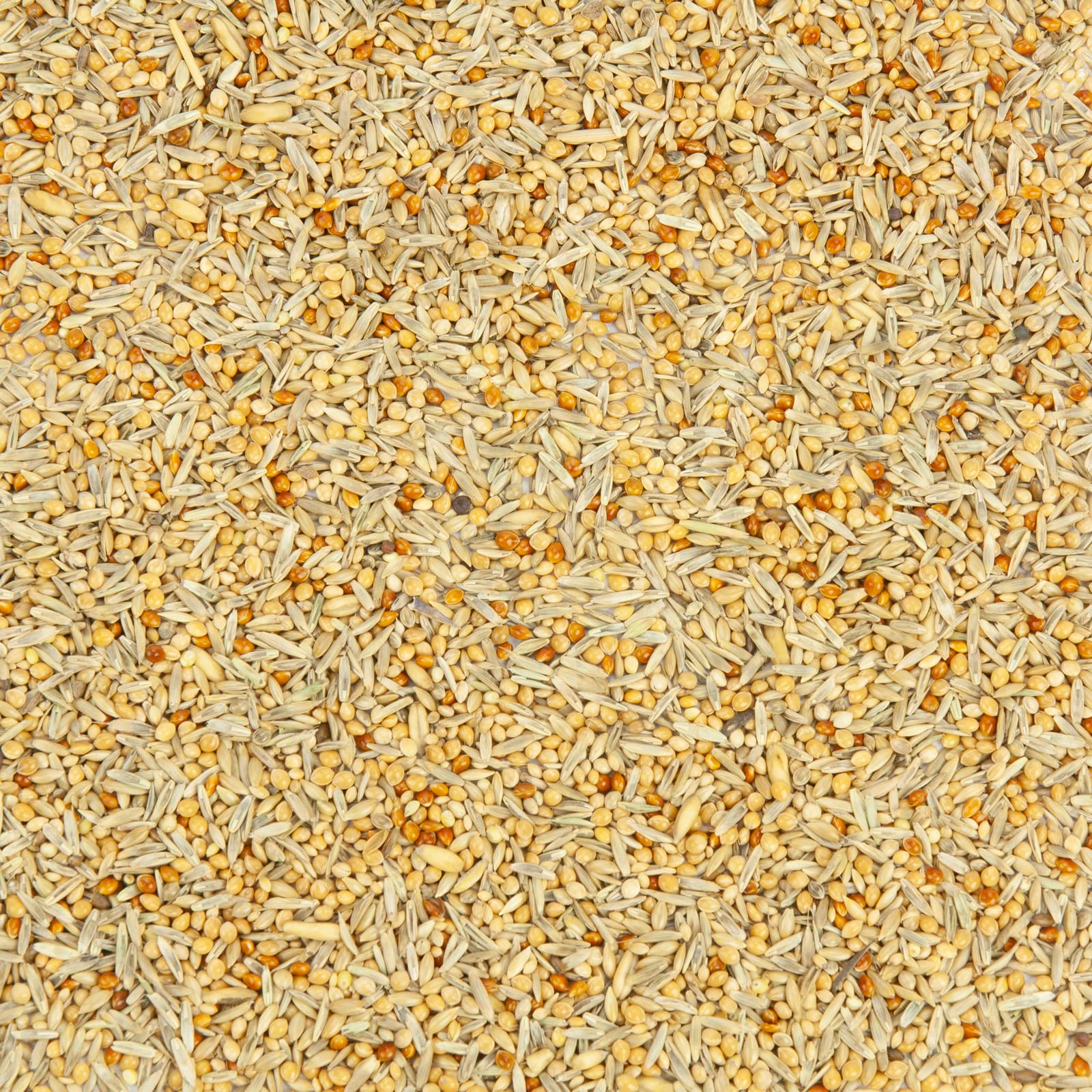 Mr. Crumble Welli-Fit Wellensittichfutter 2,5kg Grassamen